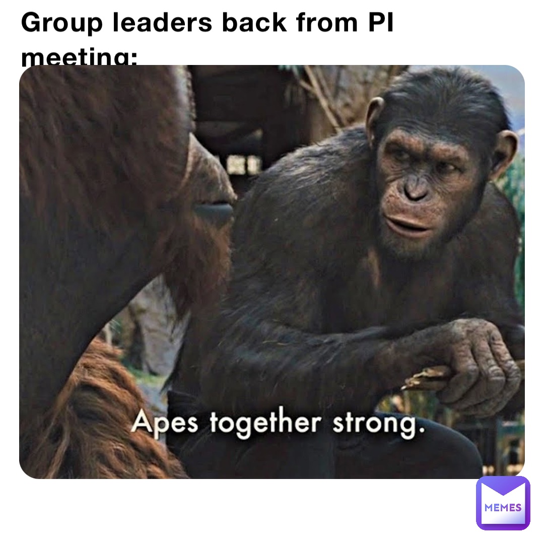 Group leaders back from PI meeting: