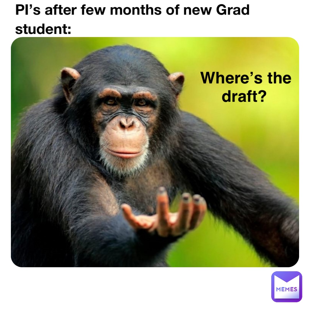 PI’s after few months of new Grad student: Where’s the draft?