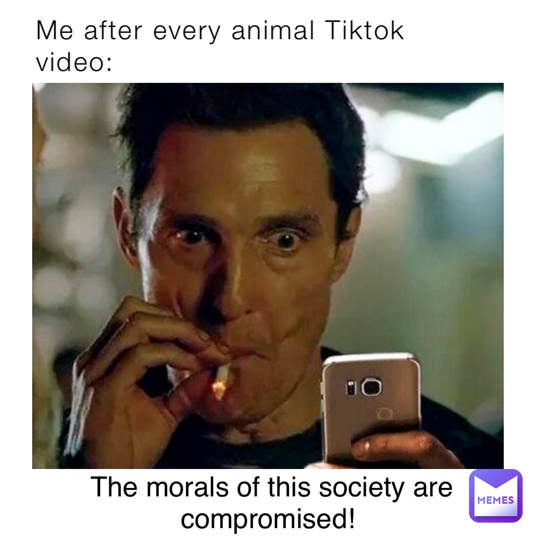 Me after every animal Tiktok video: The morals of this society are compromised!