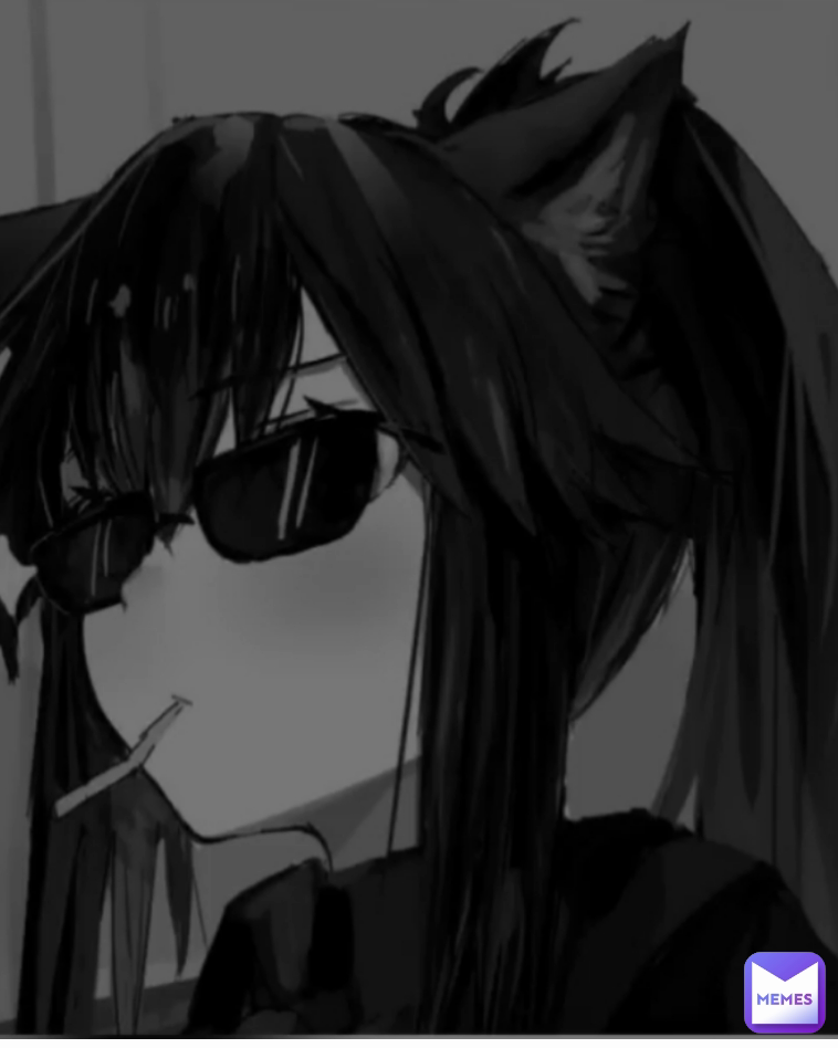 Meme by Muslim_spdy_girl_69_69