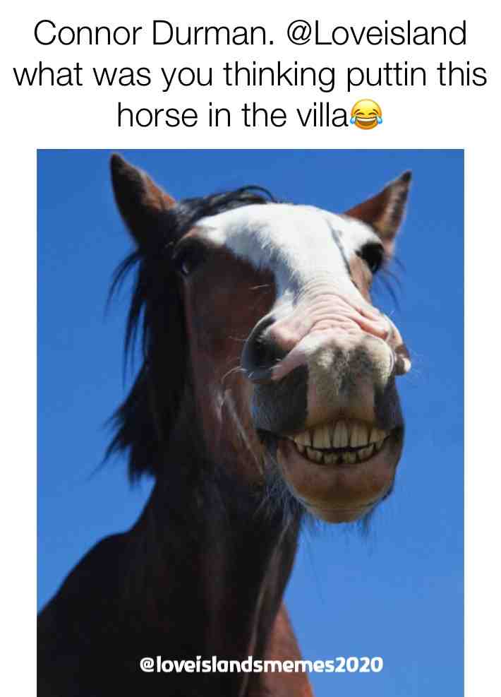Lets be real!! 🤣😂 the similarities are all over the place 🤣🤣🤣 that long face but the gnashers omg😂🤣🤣🤣🤣🤣  #loveisland  #mollymae  #loveislanduk  #loveislandmemes  #itv  #follow  #mollymaehague  #love  #tommyfury  #amberrosegill  #luciedonlan  #tolly  #like  #loveislandmeme  #loveislandoutfits  #likeforlike  #followme  #loveislandaftersun  #maurahiggins  #london  #loveislandreactions  #gregoshea  #memes  #followback  #tommytntfury  #annavakili  #omgpage  #funny  #couplegoals  #bhfyp