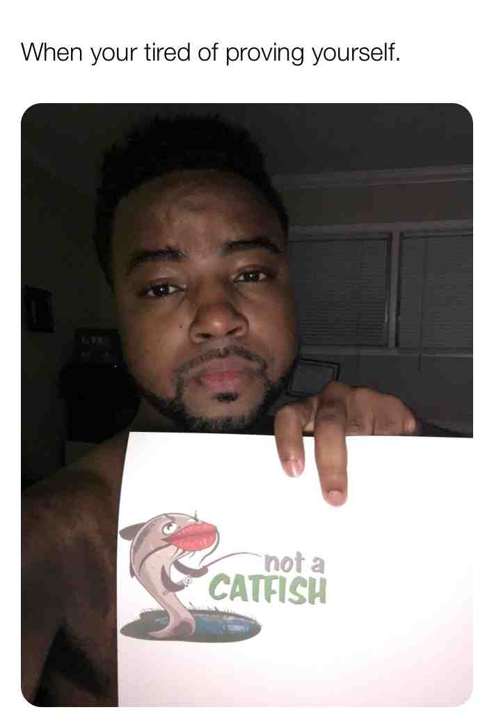 #catfish 😂😂😂