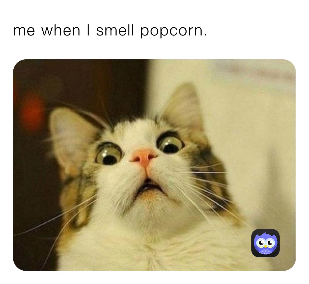 Meme by TTV_Cohenhockey37