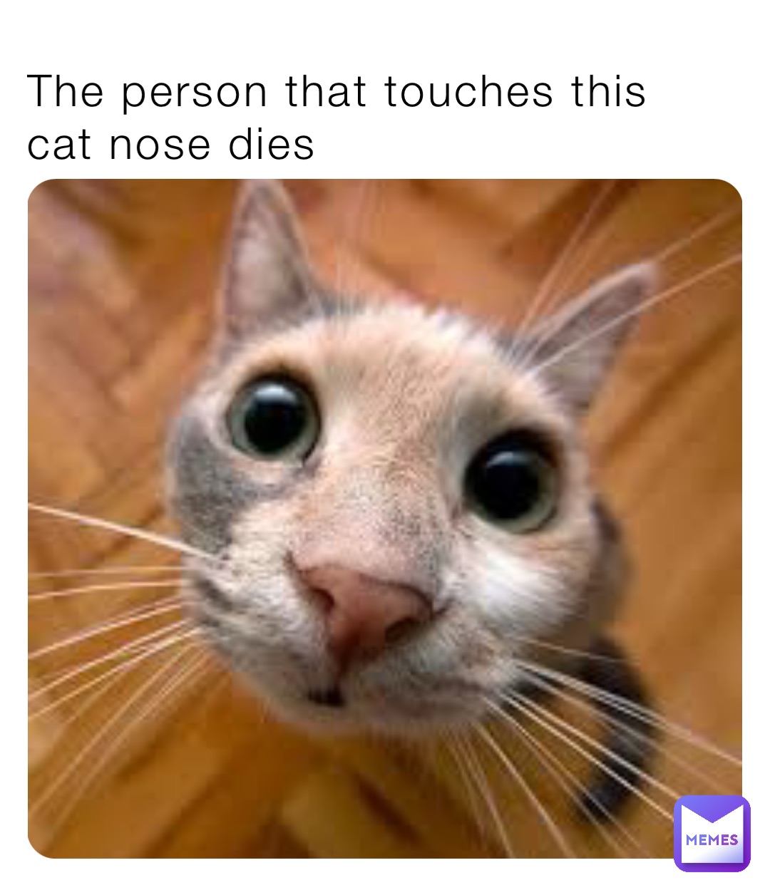 Meme by deadly_funny_memes