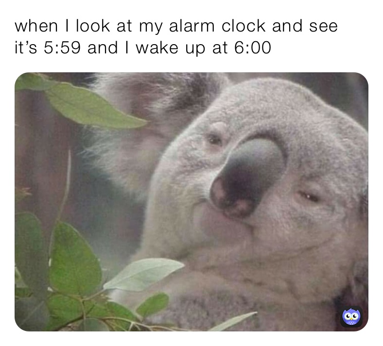 when I look at my alarm clock and see it’s 5:59 and I wake up at 6:00