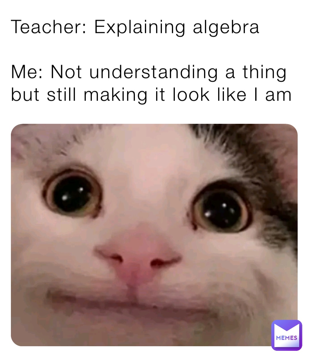 Teacher: Explaining algebra

Me: Not understanding a thing but still making it look like I am