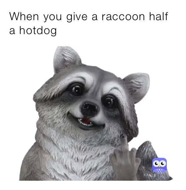 When you give a raccoon half a hotdog  When you give a raccoon half a hotdog 