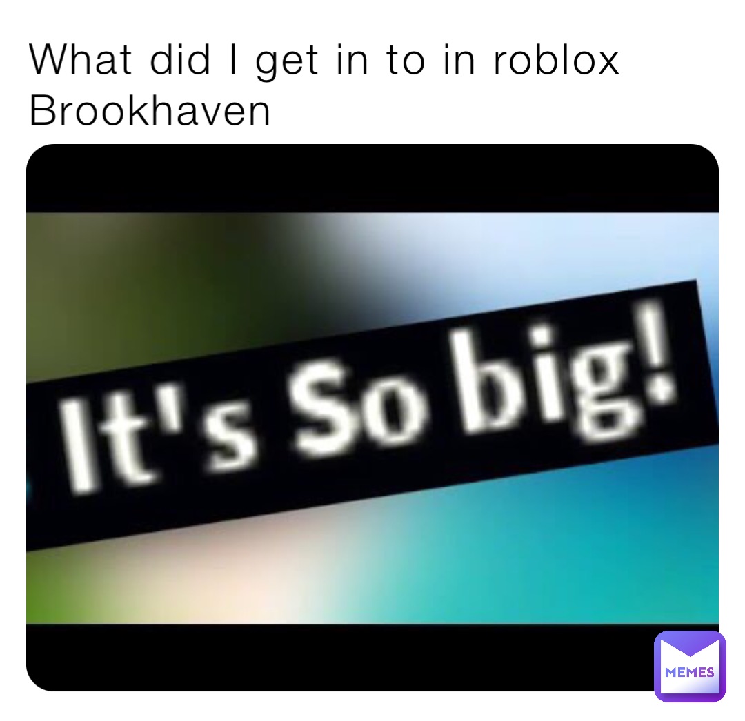 What did I get in to in roblox Brookhaven