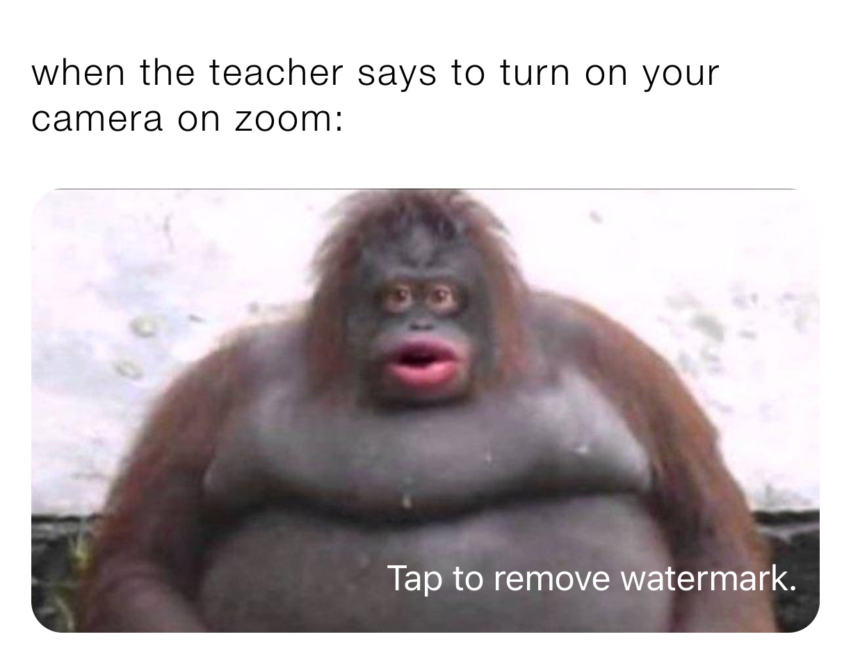 when the teacher says to turn on your camera on zoom: