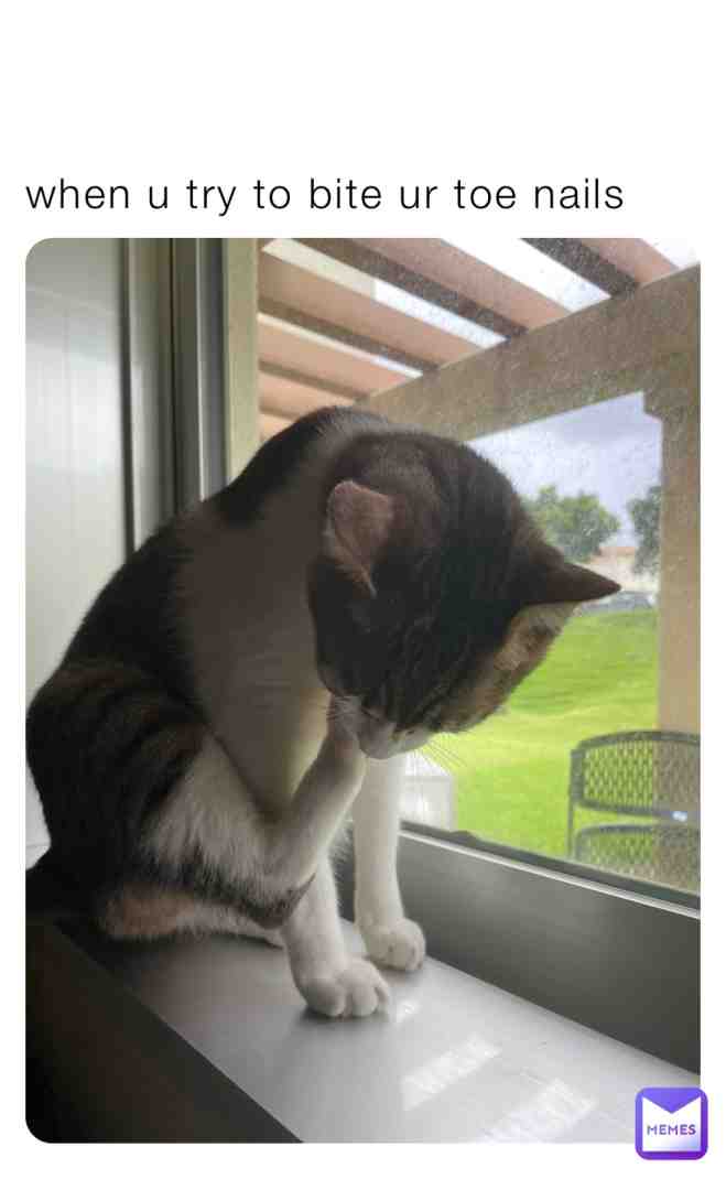 Meme shared by @BLACKGACHA_CAT