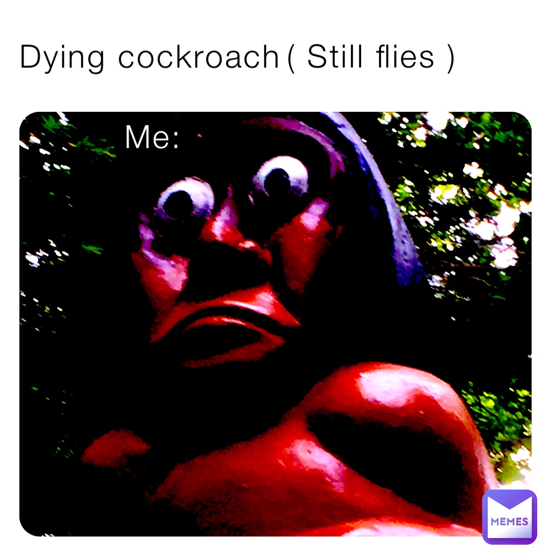 Dying cockroach ( Still flies ) Me: