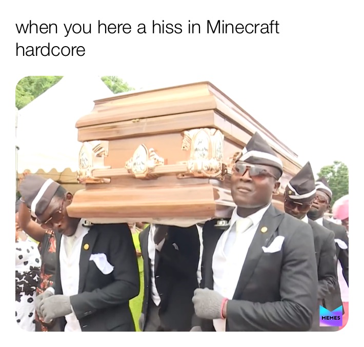 it always annoys me when someone doesn't use an item in hardcore just  because it has curse of vanishing. : r/MinecraftMemes