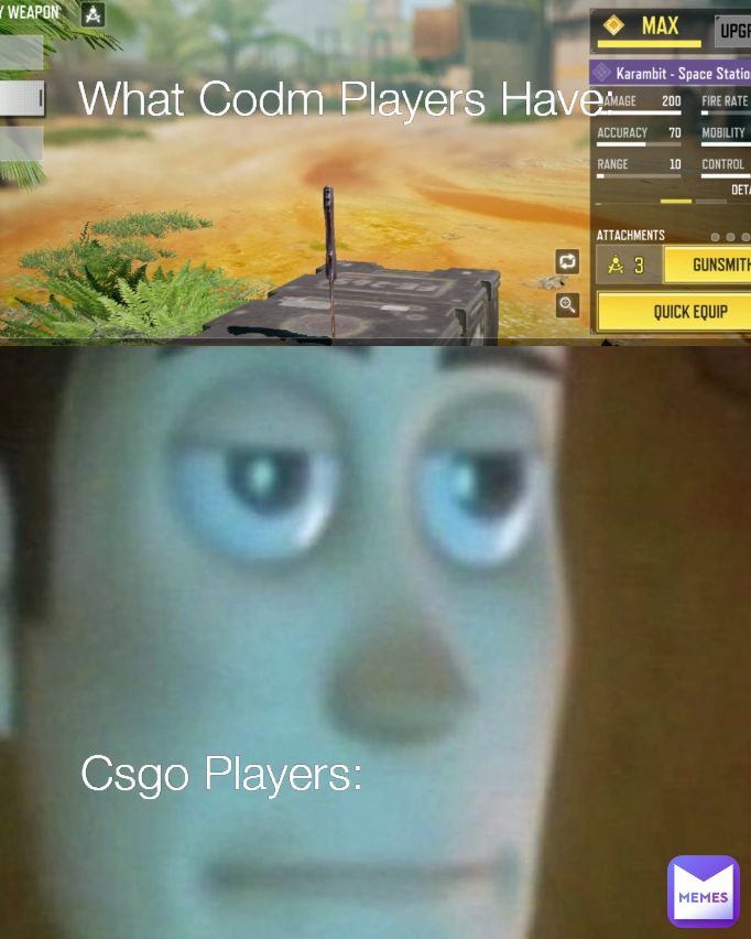 Csgo Players: What Codm Players Have: