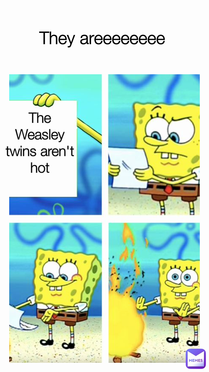 They areeeeeeee  The Weasley twins aren't hot