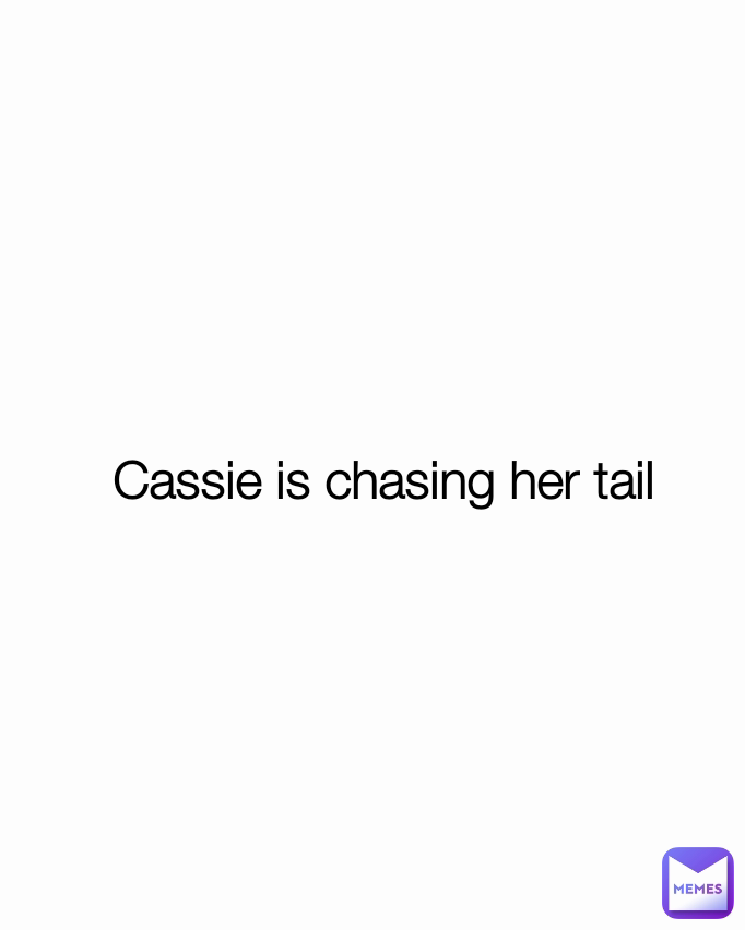 Cassie is chasing her tail