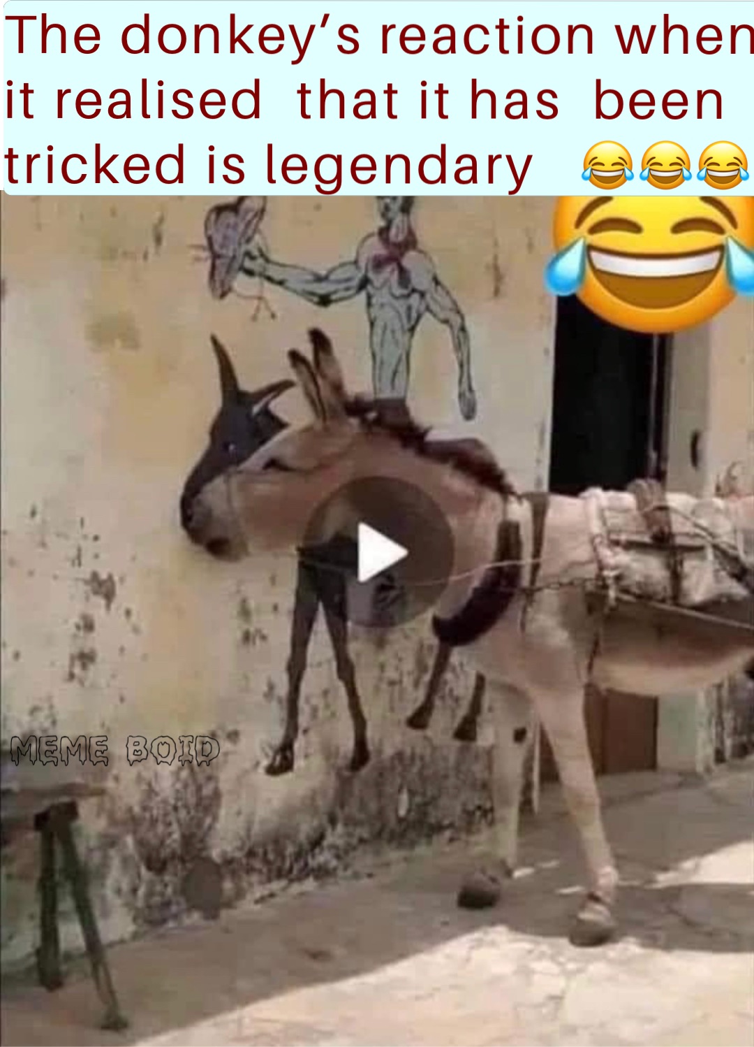 The donkey’s reaction when it realised  that it has  been  tricked is legendary   😂😂😂