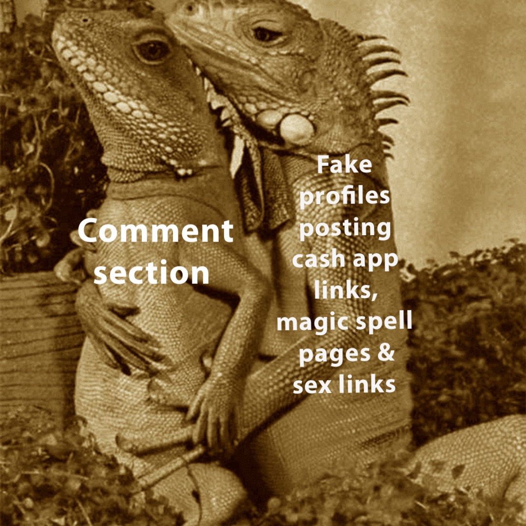 Comment section Fake profiles posting cash app links, magic spell pages & sex links