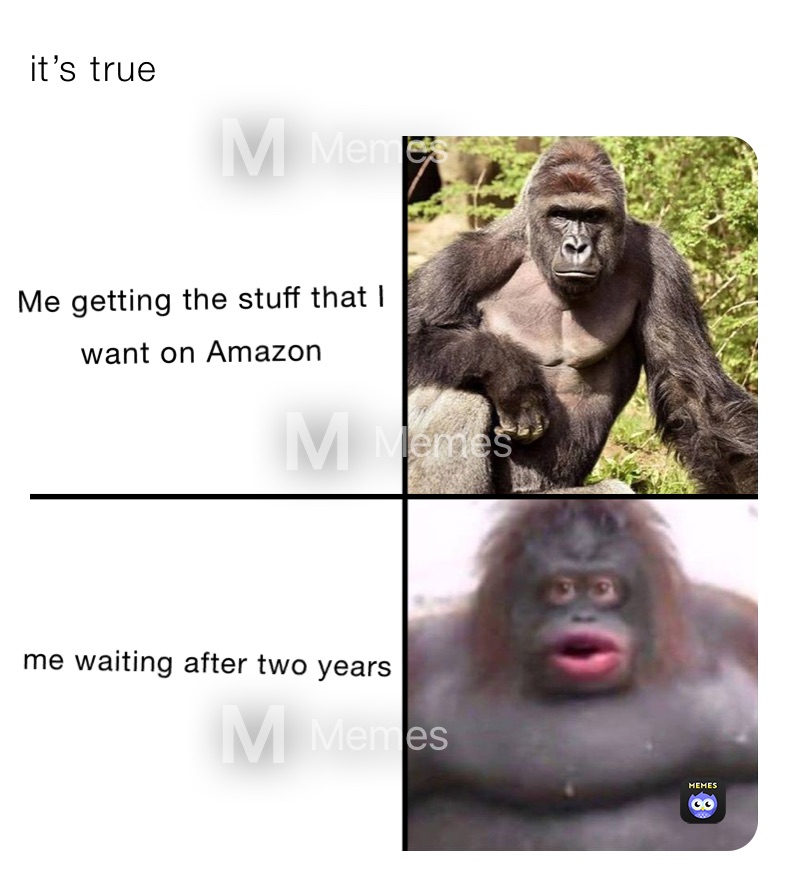 Meme by daily_memes_fast