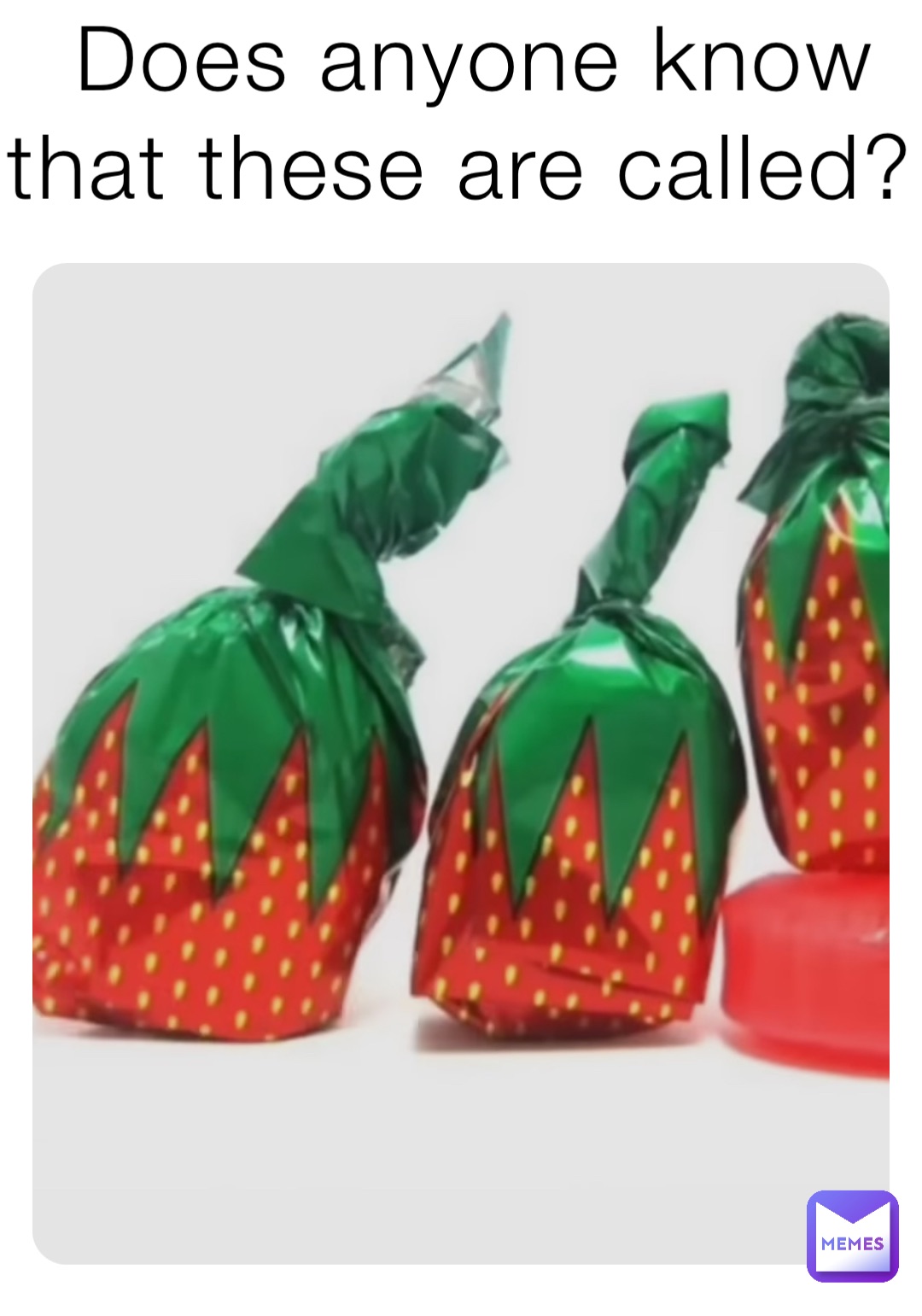 Does anyone know that these are called?