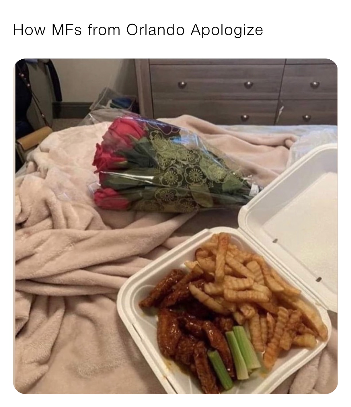 How MFs from Orlando Apologize 