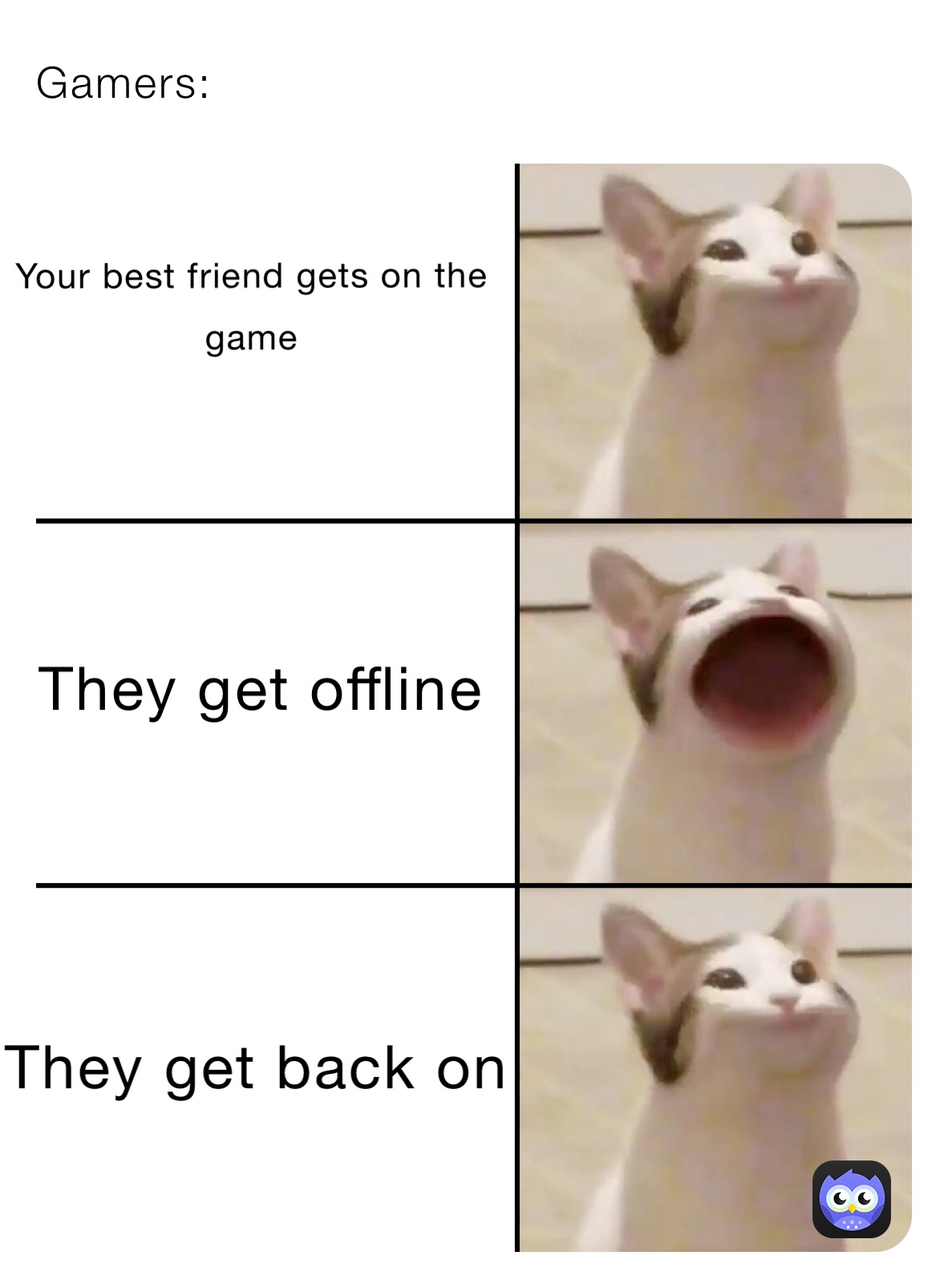 Gamers: