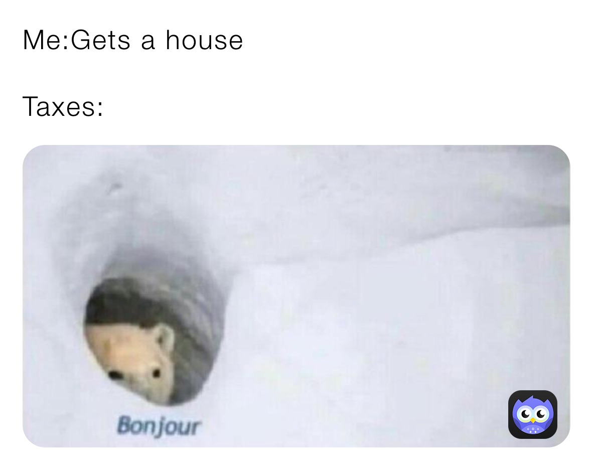 Me:Gets a house

Taxes:
