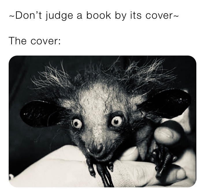 ~Don’t judge a book by its cover~

The cover: