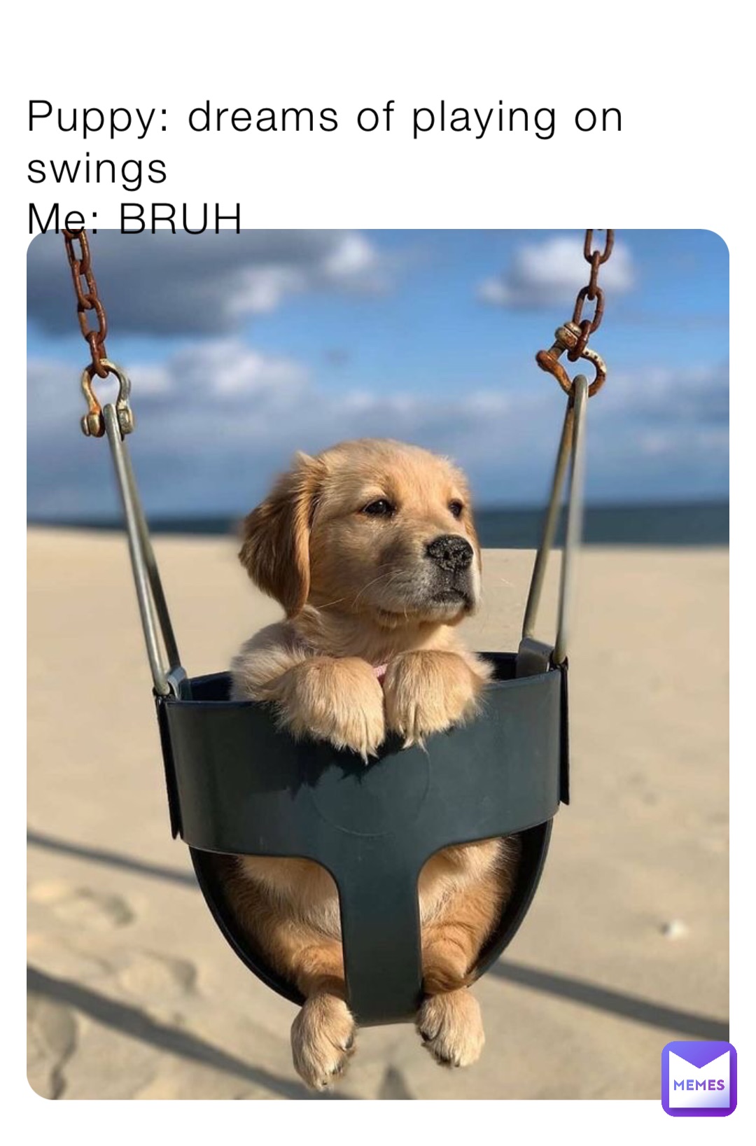 Puppy: dreams of playing on swings
Me: BRUH