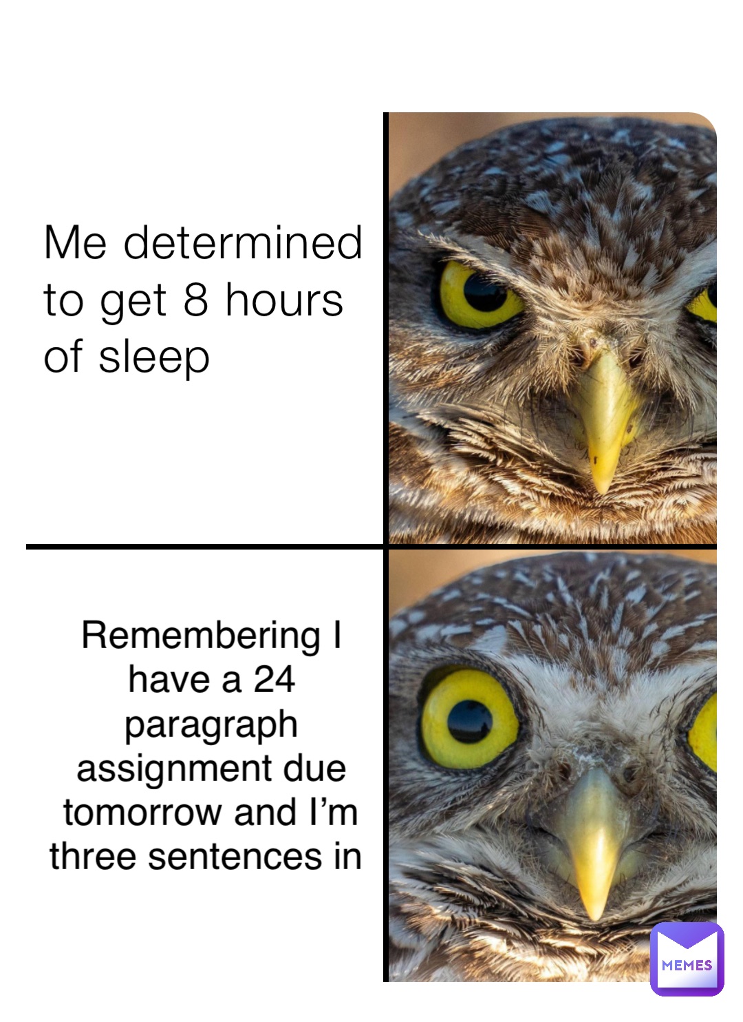 Me determined to get 8 hours of sleep Remembering I have a 24 paragraph assignment due tomorrow and I’m three sentences in