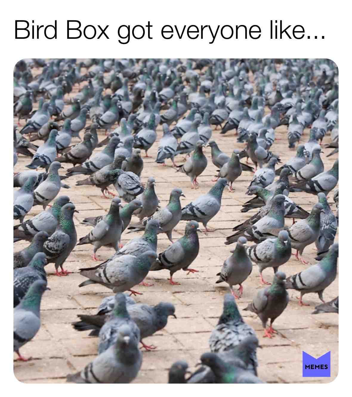 FR tho.