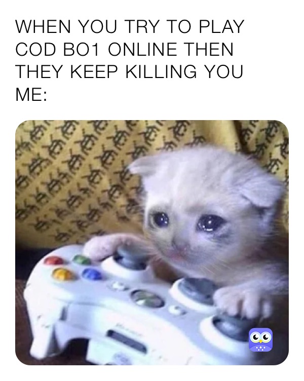 WHEN YOU TRY TO PLAY COD BO1 ONLINE THEN THEY KEEP KILLING YOU 
ME:
