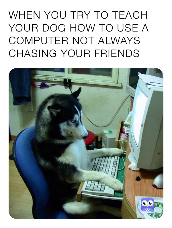 WHEN YOU TRY TO TEACH YOUR DOG HOW TO USE A COMPUTER NOT ALWAYS CHASING YOUR FRIENDS 