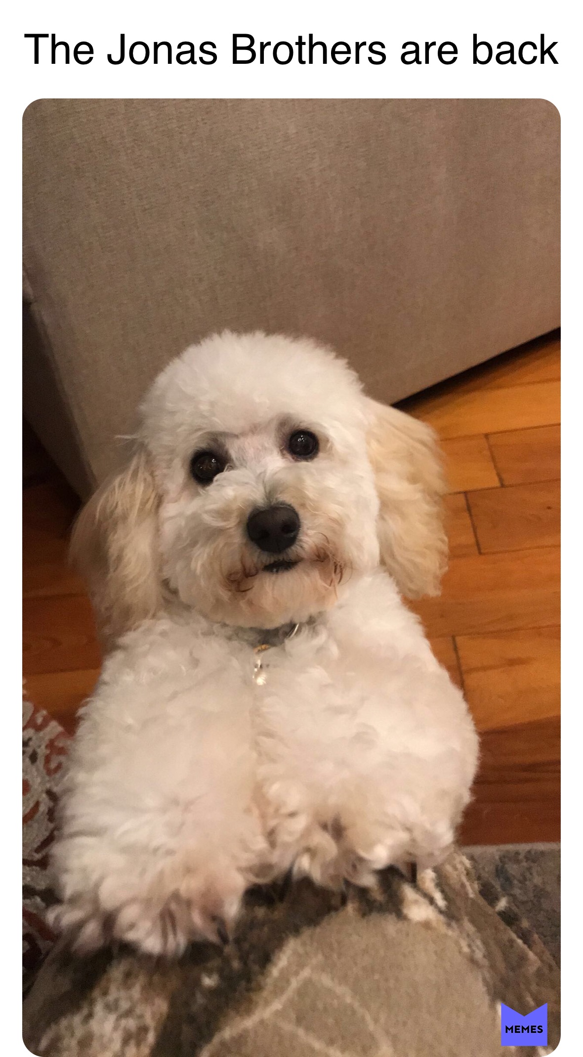 Meme by madisonclaire8