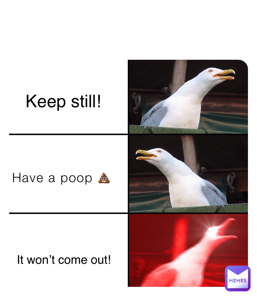 Have a poop 💩 Keep still! It won’t come out!
