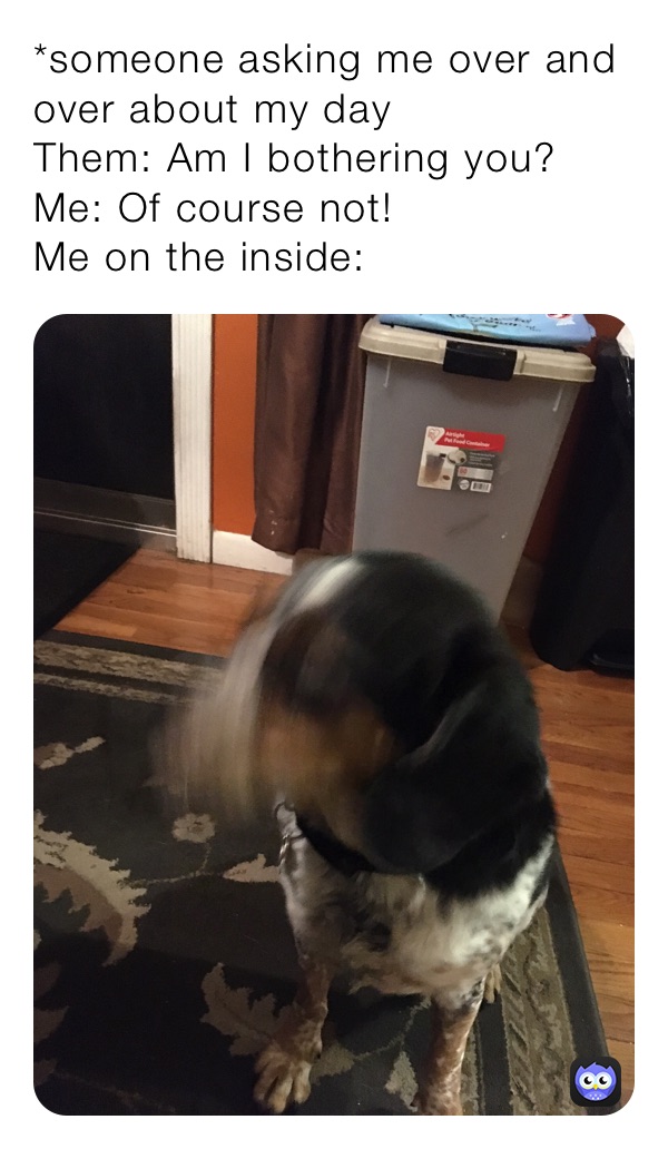 Meme by meghan_1607564752