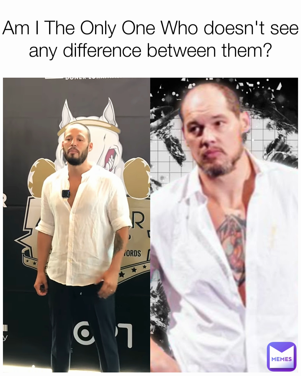 Am I The Only One Who doesn't see any difference between them?