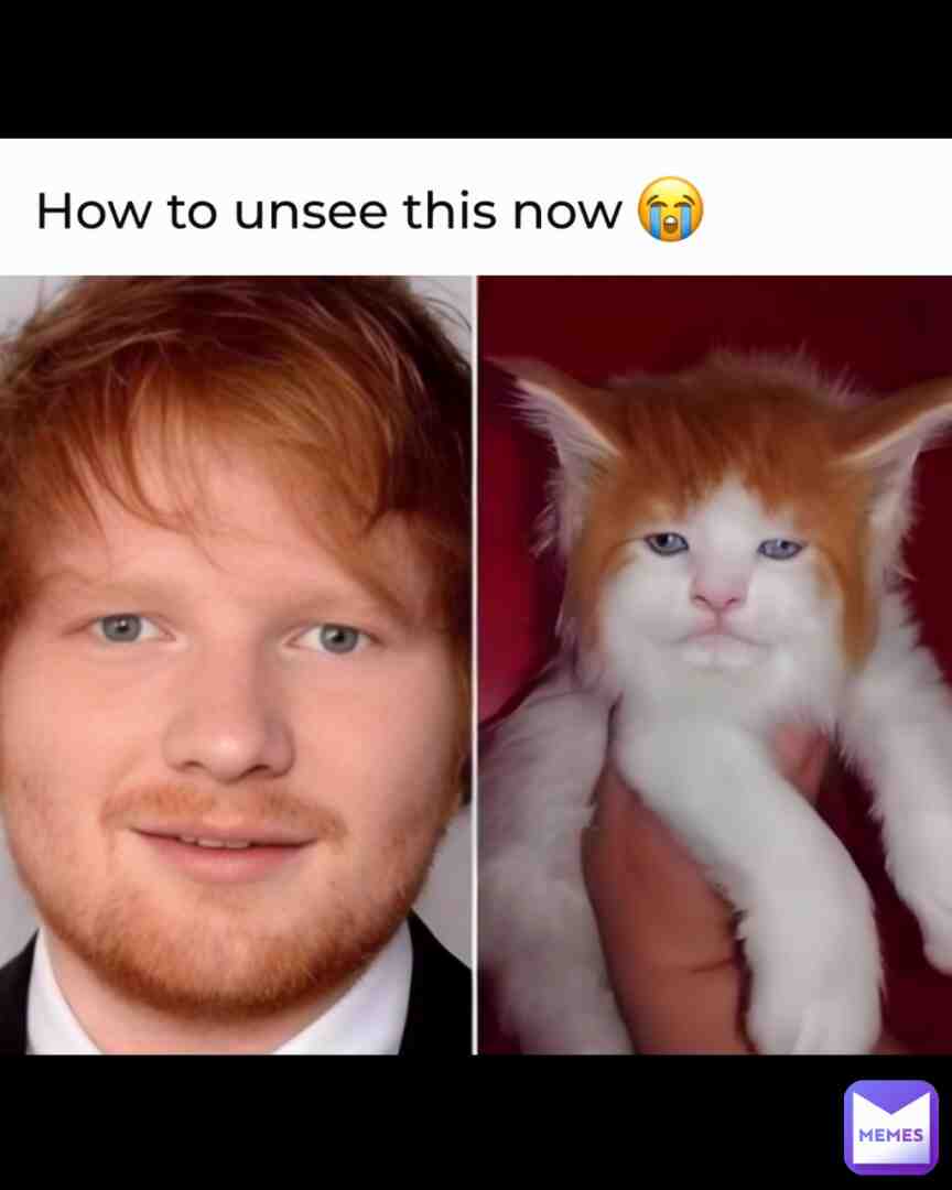 Ed sheeran