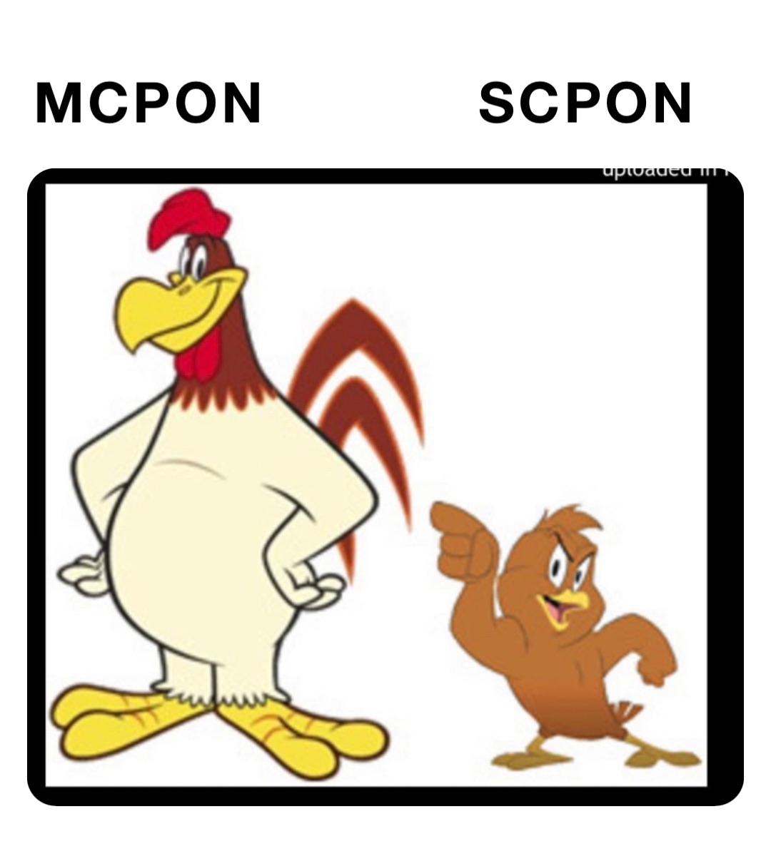 MCPON           SCPON