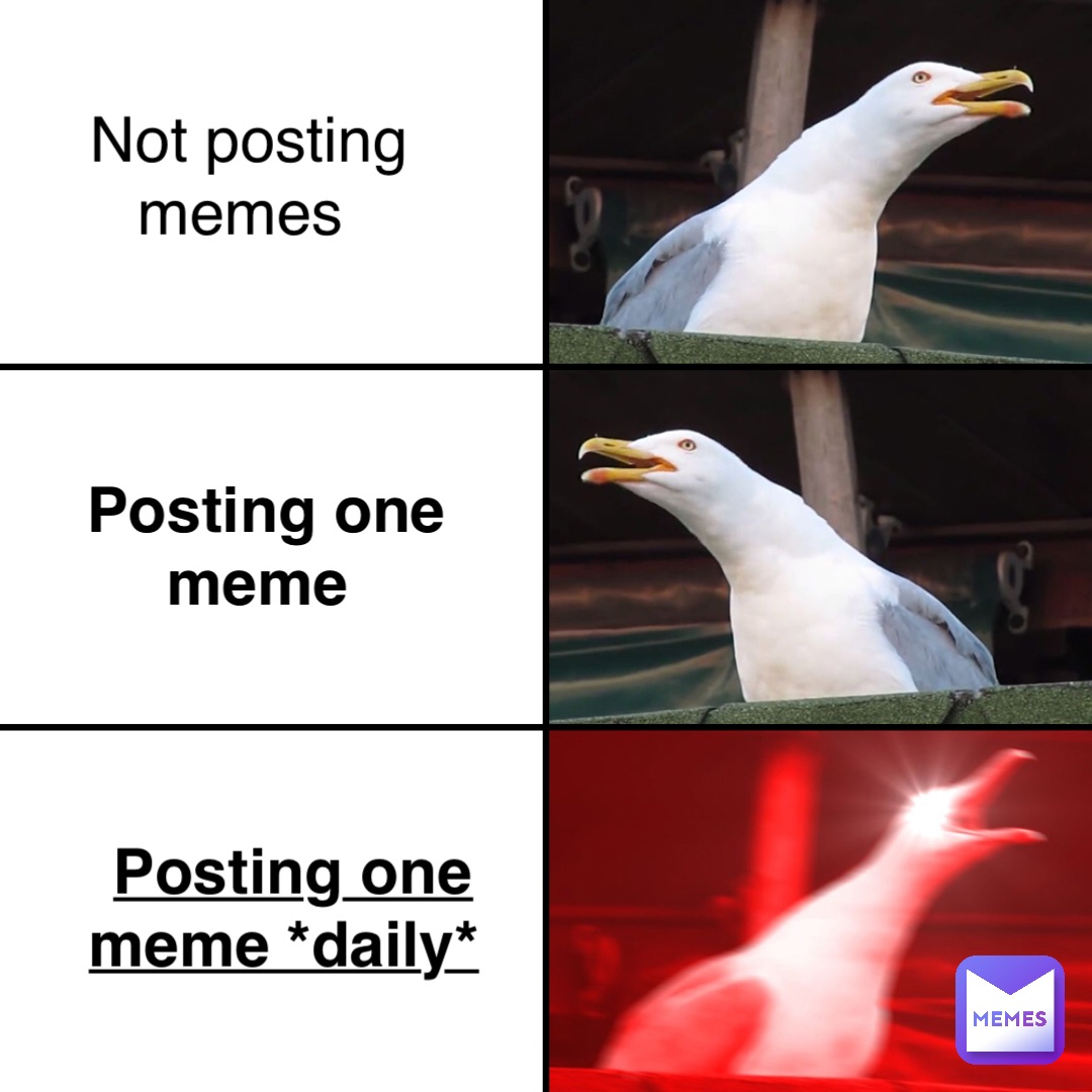 Not posting memes Posting one meme Posting one meme *daily*