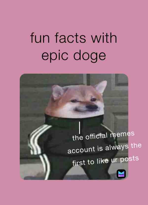It’s true. ​ #epicdogefacts