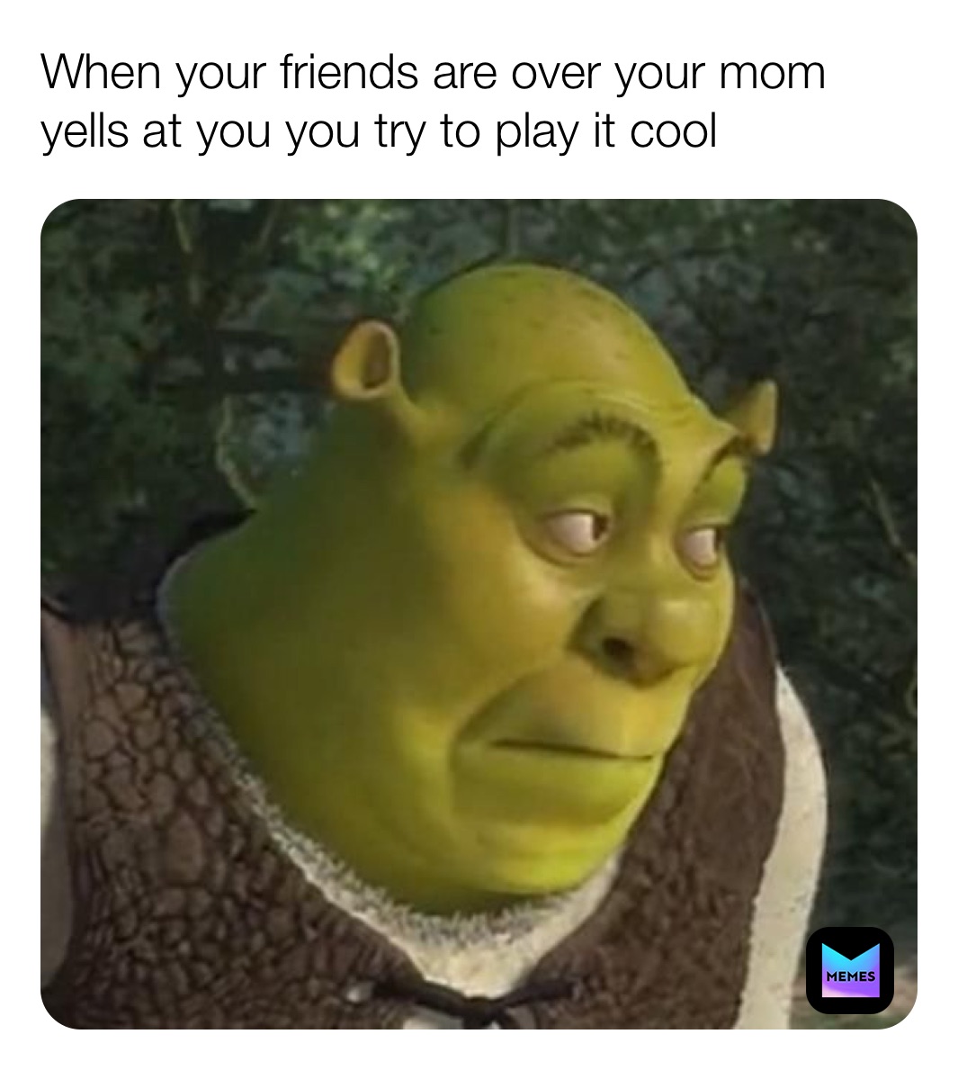 Meme by Connormealey