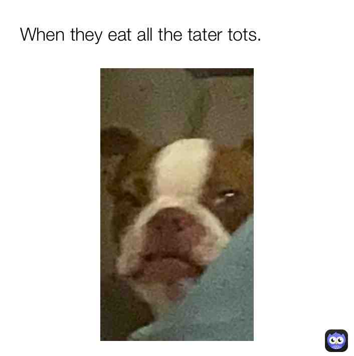 Meme shared by @cadencepaige12