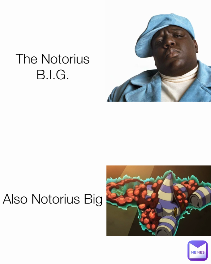 Also Notorius Big The Notorius B.I.G.