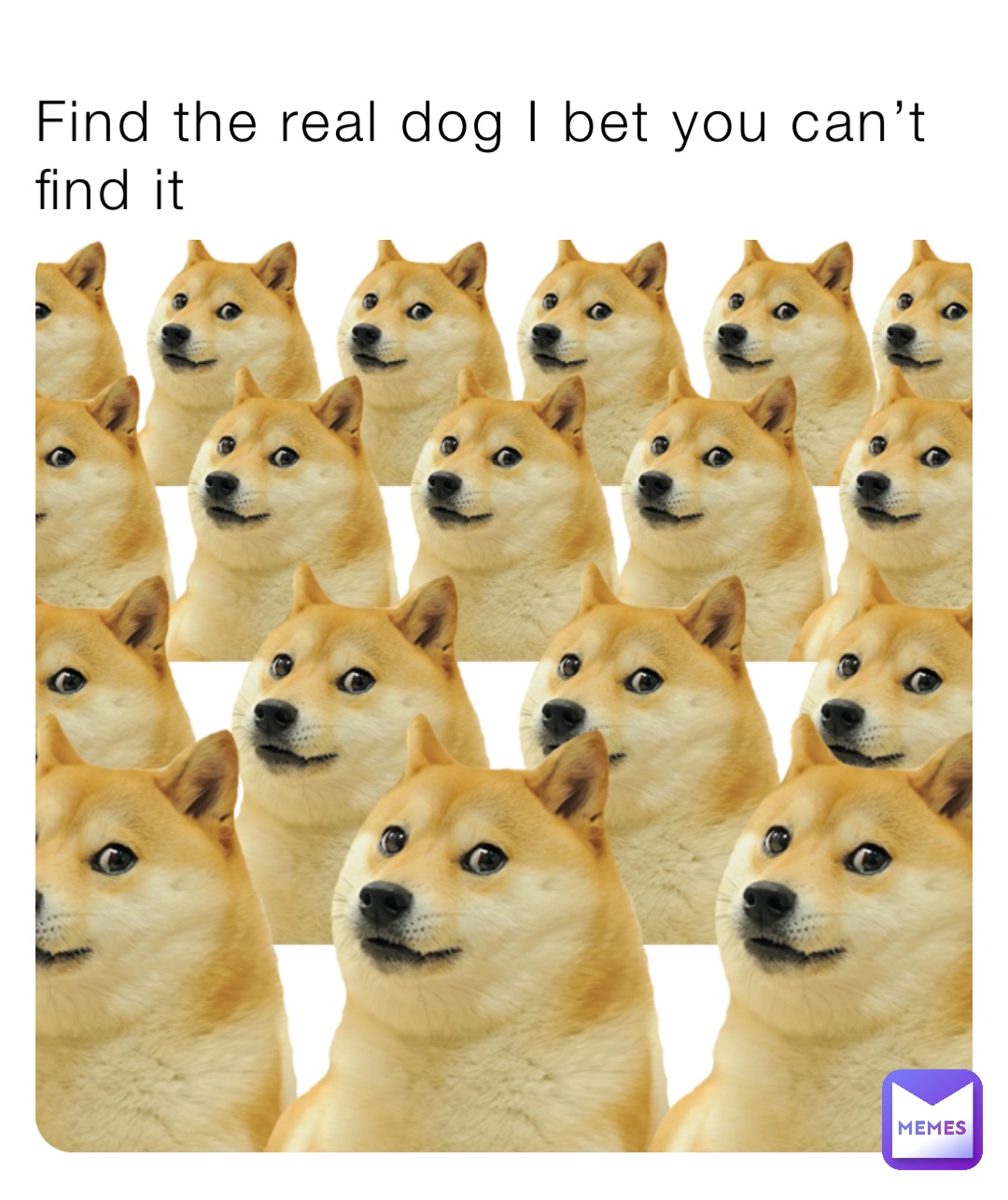 Find the real dog I bet you can’t find it