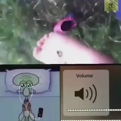 Meme preview
