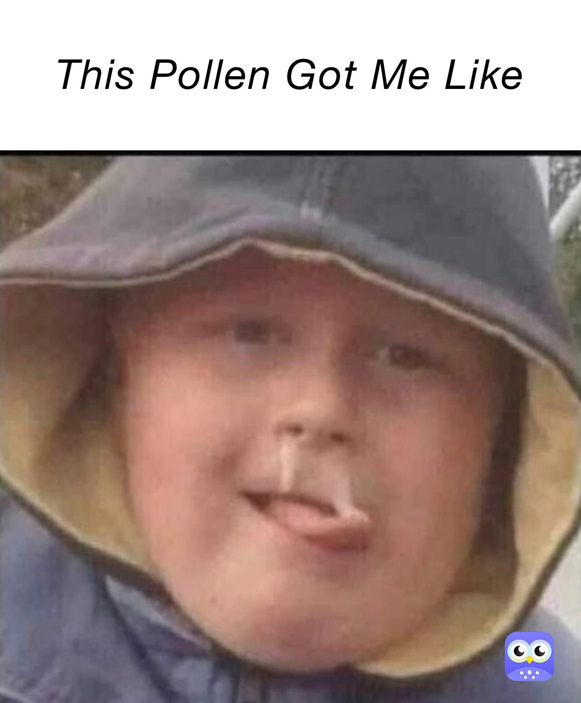 This Pollen Got Me Like