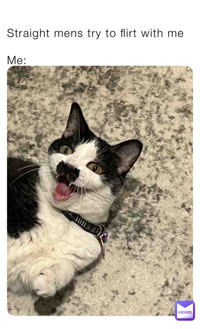 #  #funny  #cat  #lol  #anime  #crush  #schoollife  #school  #friends  #wlw  #lgbtq  #gay  #wlwmeme