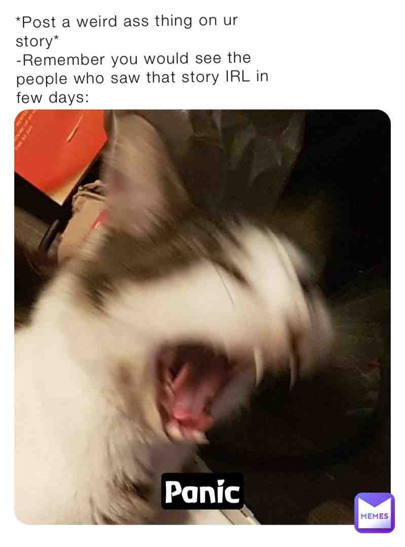 Damn #funny #cat #lol #school #schoollife #friends #cats #irl