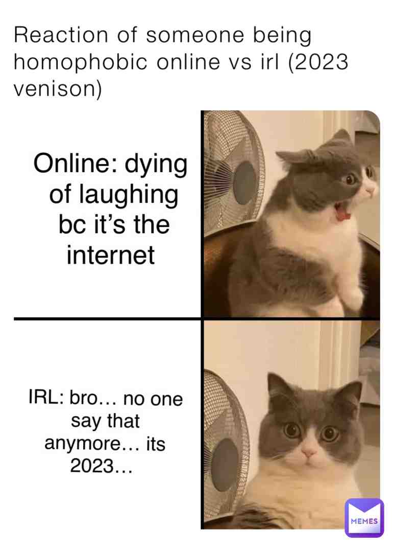 😂 internet am I right #summer #funny #cat #lol #school #friends #gay #lgbtq #irl #catmeme #2023 #pride #internet