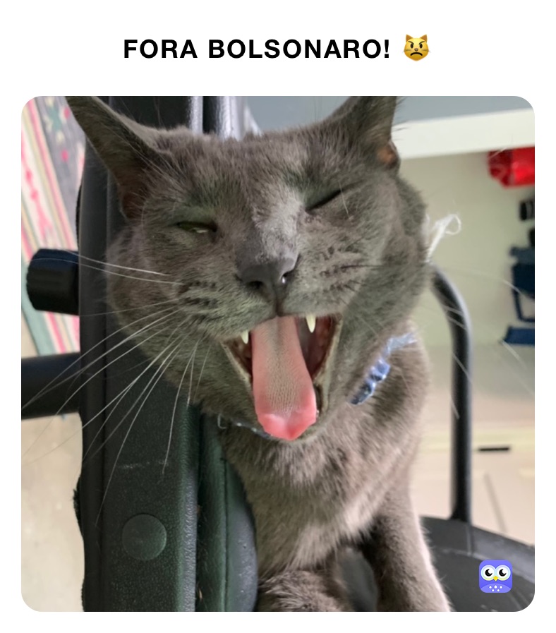 FORA BOLSONARO! 😾